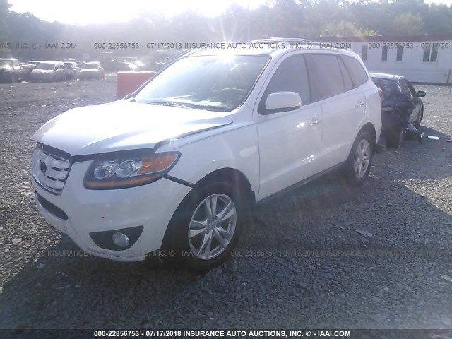 5XYZK4AG9BG002492 - 2011 HYUNDAI SANTA FE LIMITED WHITE photo 2