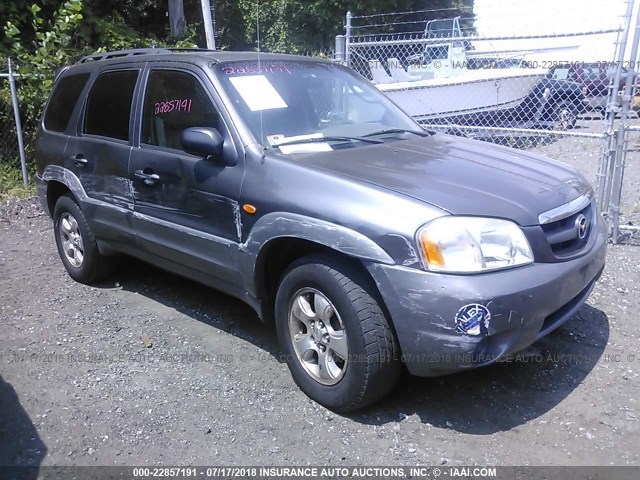 4F2YU081X2KM19114 - 2002 MAZDA TRIBUTE LX/ES GRAY photo 1