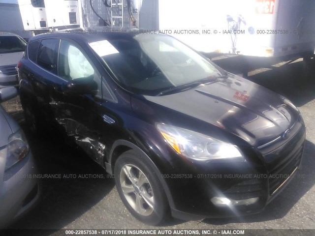 1FMCU0G90DUA94817 - 2013 FORD ESCAPE SE BROWN photo 6