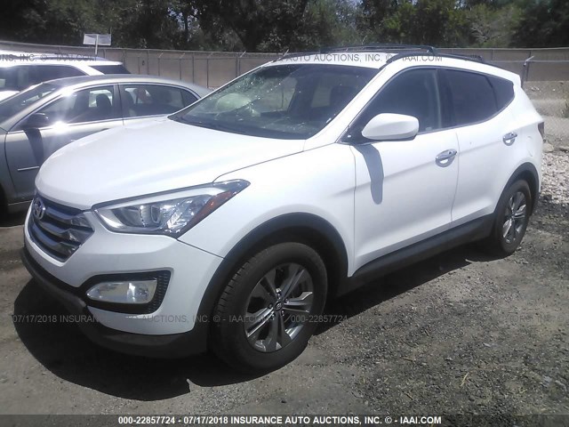 5XYZU3LB1EG151683 - 2014 HYUNDAI SANTA FE SPORT  WHITE photo 2