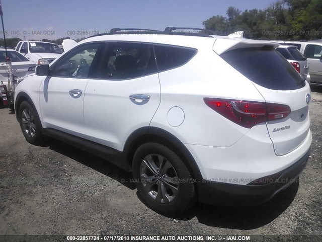 5XYZU3LB1EG151683 - 2014 HYUNDAI SANTA FE SPORT  WHITE photo 3