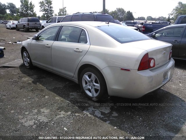 1G1ZB5EB6AF144295 - 2010 CHEVROLET MALIBU LS TAN photo 3