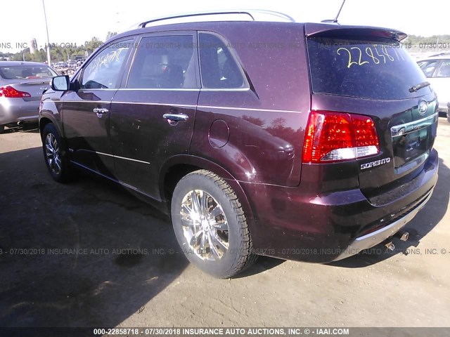 5XYKWDA24BG169188 - 2011 KIA SORENTO SX PURPLE photo 3