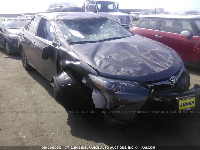 4T1BF1FK4FU914271 - 2015 TOYOTA CAMRY LE/XLE/SE/XSE GRAY photo 1