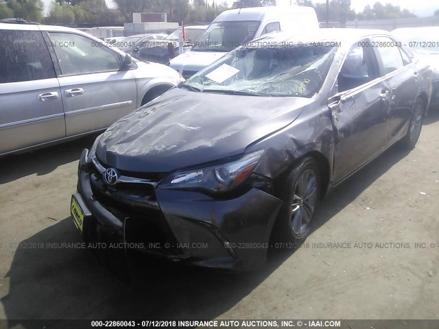 4T1BF1FK4FU914271 - 2015 TOYOTA CAMRY LE/XLE/SE/XSE GRAY photo 2