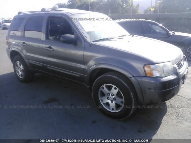 1FMCU041X4KB11083 - 2004 FORD ESCAPE LIMITED GRAY photo 1