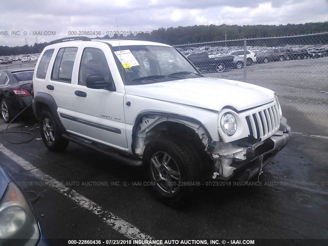 1J4GK48K32W262322 - 2002 JEEP LIBERTY SPORT WHITE photo 1