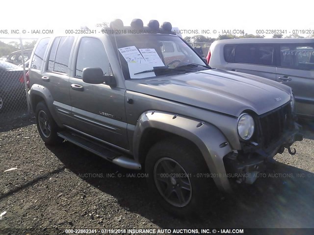 1J8GL38KX2W366750 - 2002 JEEP LIBERTY RENEGADE SILVER photo 1