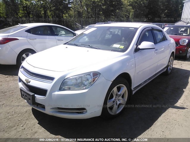 1G1ZH57B89F128834 - 2009 CHEVROLET MALIBU 1LT 白色 照片 2