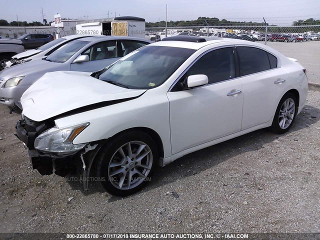 1N4AA51E89C850341 - 2009 NISSAN MAXIMA S/SV WHITE photo 2