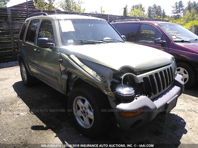 1J4GL48K33W671306 - 2003 JEEP LIBERTY SPORT/FREEDOM GREEN photo 6