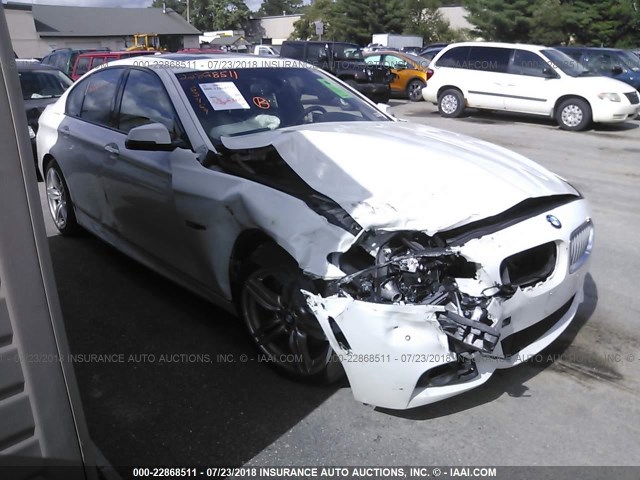 WBAKP9C56EDZ34936 - 2014 BMW 550 XI WHITE photo 1