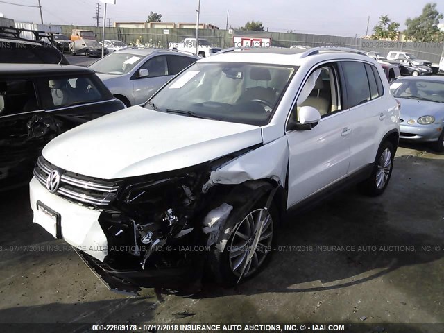 WVGAV7AX1GW558615 - 2016 VOLKSWAGEN TIGUAN S/SE/SEL/R-LINE WHITE photo 2