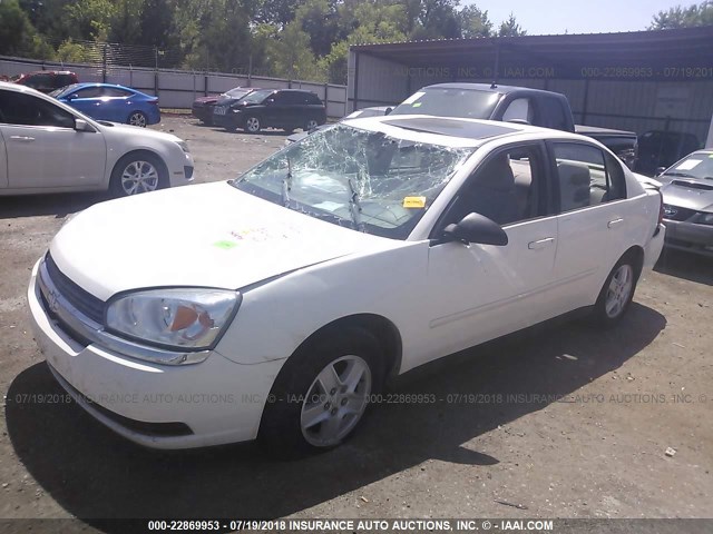 1G1ZT548X5F106447 - 2005 CHEVROLET MALIBU LS თეთრი ფოტო 2