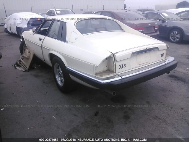 SAJNA5848JC140757 - 1988 JAGUAR XJS CREAM photo 3