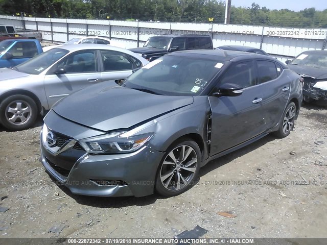 1N4AA6AP1GC380657 - 2016 NISSAN MAXIMA 3.5S/SV/SL/SR/PLAT GRAY photo 2