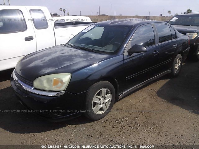 1G1ZT54805F336790 - 2005 CHEVROLET MALIBU LS Dark Blue photo 2