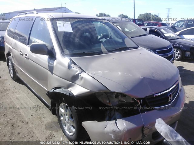 5FNRL18082B028836 - 2002 HONDA ODYSSEY EXL GOLD photo 6