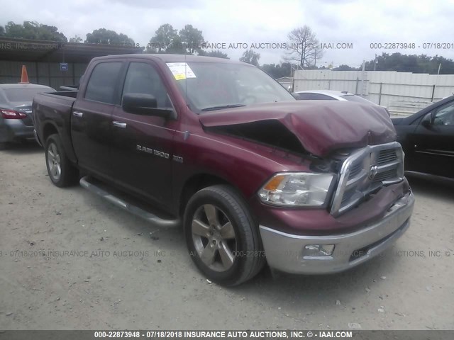 1C6RD6LT9CS301015 - 2012 DODGE RAM 1500 SLT 勃艮第红 照片 1