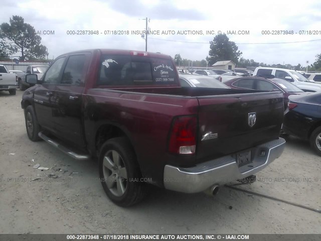 1C6RD6LT9CS301015 - 2012 DODGE RAM 1500 SLT 勃艮第红 照片 3