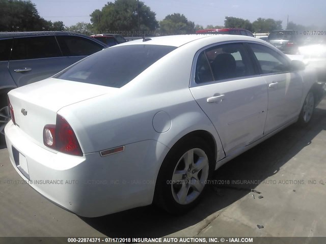 1G1ZB5EB8AF271355 - 2010 CHEVROLET MALIBU LS თეთრი ფოტო 4