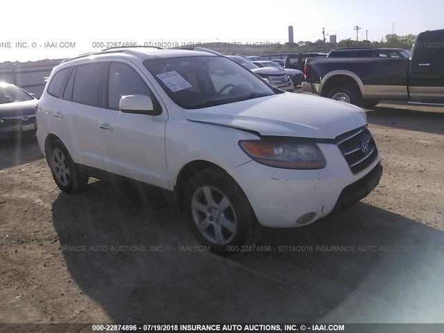 5NMSH13EX9H288900 - 2009 HYUNDAI SANTA FE SE/LIMITED WHITE photo 1