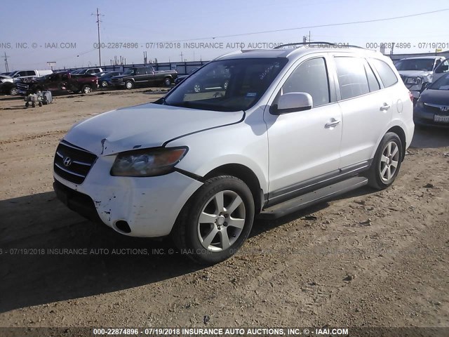 5NMSH13EX9H288900 - 2009 HYUNDAI SANTA FE SE/LIMITED WHITE photo 2