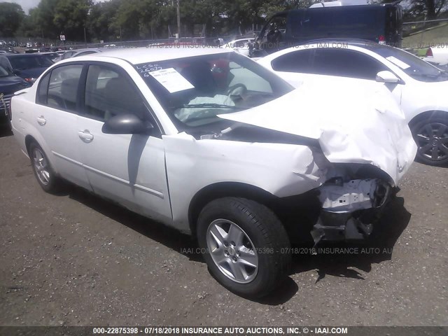 1G1ZT54895F231603 - 2005 CHEVROLET MALIBU LS თეთრი ფოტო 1