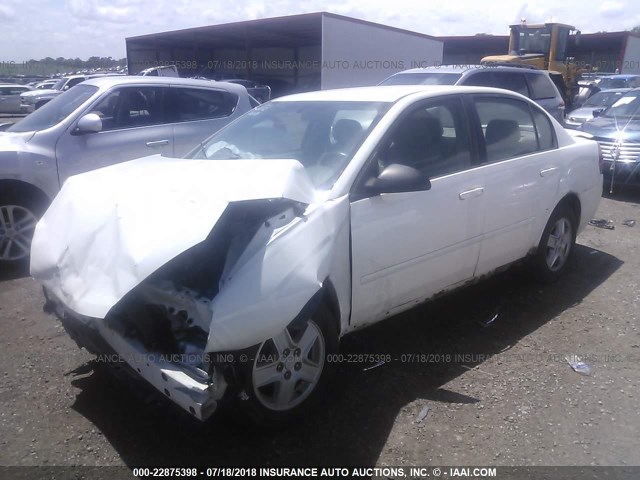 1G1ZT54895F231603 - 2005 CHEVROLET MALIBU LS თეთრი ფოტო 2