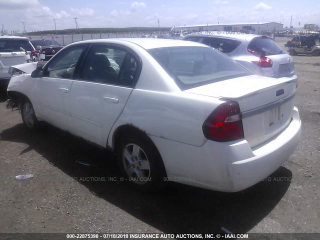 1G1ZT54895F231603 - 2005 CHEVROLET MALIBU LS თეთრი ფოტო 3
