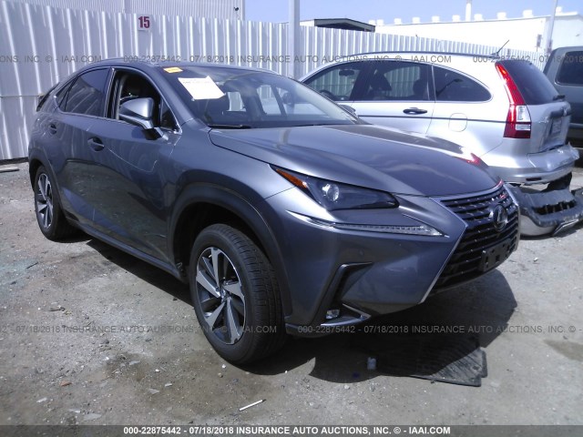 JTJYARBZ2J2093803 - 2018 LEXUS NX 300/BASE/F SPORT GRAY photo 1