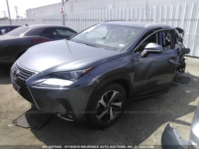 JTJYARBZ2J2093803 - 2018 LEXUS NX 300/BASE/F SPORT GRAY photo 2