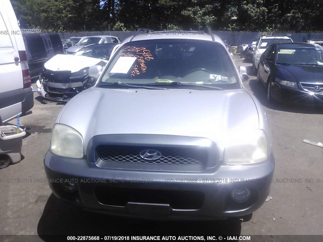 KM8SC13D53U484938 - 2003 HYUNDAI SANTA FE GLS/LX GRAY photo 6