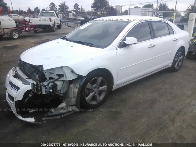 1G1ZC5E00CF363932 - 2012 CHEVROLET MALIBU 1LT WHITE photo 2
