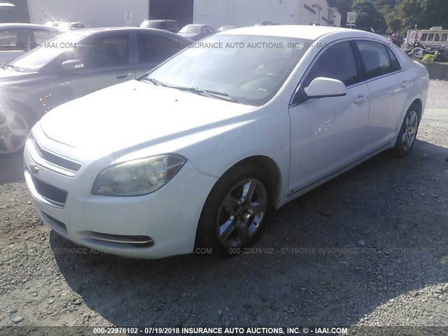 1G1ZC5E04A4103204 - 2010 CHEVROLET MALIBU 1LT 白色 照片 2