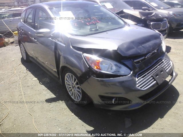 1FADP5BU4EL500748 - 2014 FORD C-MAX SEL GRAY photo 1