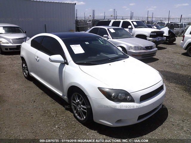 JTKDE167090280487 - 2009 TOYOTA SCION TC 白色 照片 1