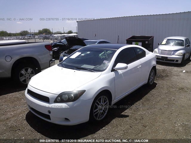JTKDE167090280487 - 2009 TOYOTA SCION TC 白色 照片 2