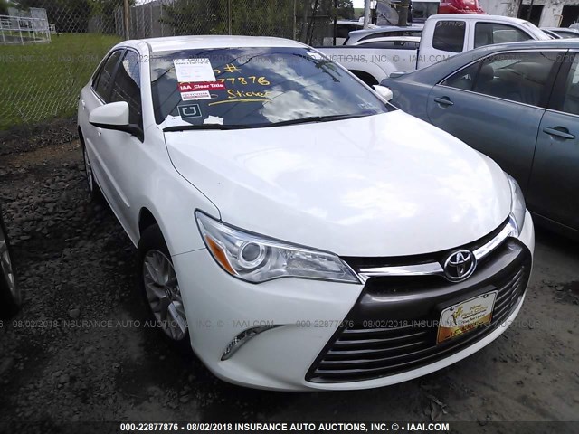 4T4BF1FK6GR581272 - 2016 TOYOTA CAMRY LE/XLE/SE/XSE WHITE photo 1