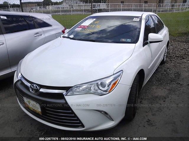 4T4BF1FK6GR581272 - 2016 TOYOTA CAMRY LE/XLE/SE/XSE WHITE photo 2