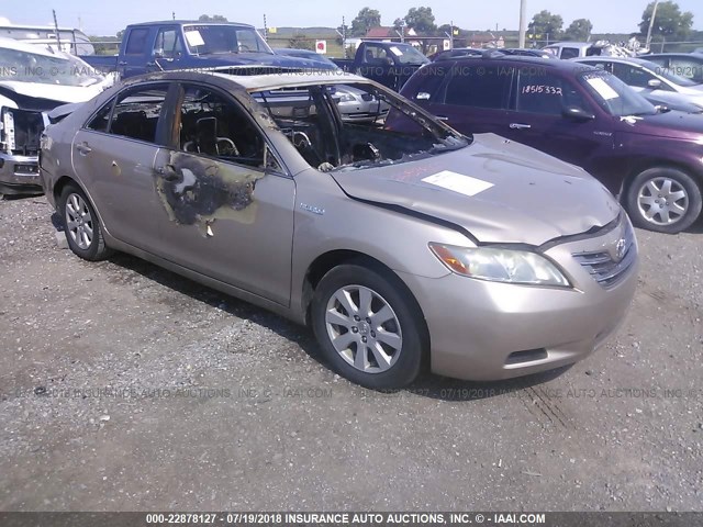 4T1BB46K18U051171 - 2008 TOYOTA CAMRY HYBRID BEIGE photo 1