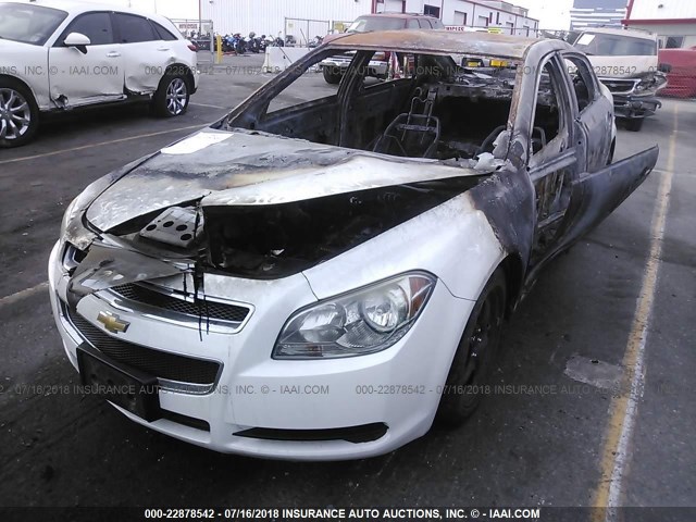 1G1ZA5E12BF301512 - 2011 CHEVROLET MALIBU LS Ақ фото 2