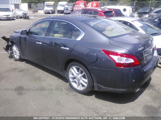 1N4AA51E19C832375 - 2009 NISSAN MAXIMA S/SV GRAY photo 3