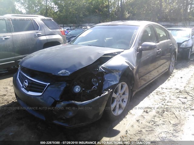 1N4BA41E07C820682 - 2007 NISSAN MAXIMA SE/SL GRAY photo 2