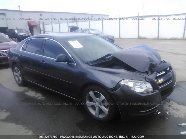 1G1ZC5EU0BF174795 - 2011 CHEVROLET MALIBU 1LT 灰色 照片 1