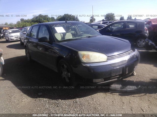 1G1ZU64824F190751 - 2004 CHEVROLET MALIBU MAXX LT BLUE photo 1