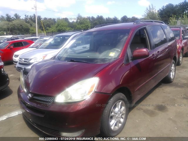 5TDBA22C85S051551 - 2005 TOYOTA SIENNA XLE/XLE LIMITED RED photo 2