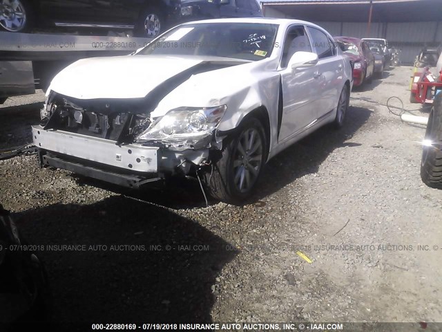 JTHDL5EF8A5001838 - 2010 LEXUS LS 460L WHITE photo 2