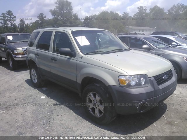 1FMYU03115DA25660 - 2005 FORD ESCAPE XLT SILVER photo 1