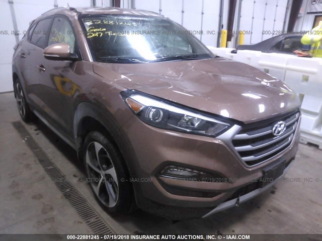 KM8J3CA23HU586545 - 2017 HYUNDAI TUCSON LIMITED/SPORT AND ECO/SE BROWN photo 1